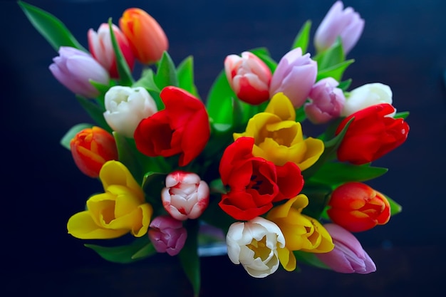 bouquet of colorful tulips / spring flowers, bright beautiful flowers, spring gift concept