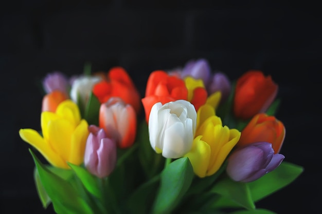 bouquet of colorful tulips / spring flowers, bright beautiful flowers, spring gift concept