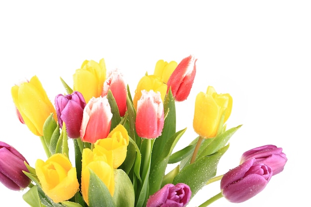 Bouquet of colorful tulips in spring isolated on white background