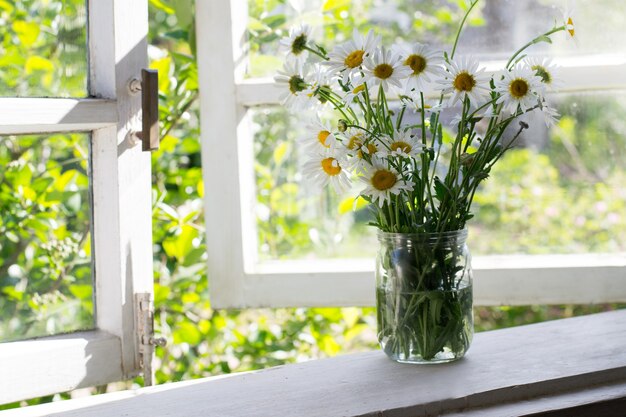 Bouquet of daisies in  jar on windowsill