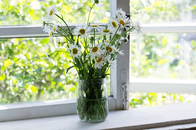 Bouquet of daisies in  jar on windowsill