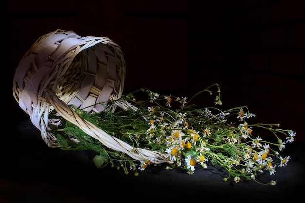 Bouquet of daisies in a wicker basket