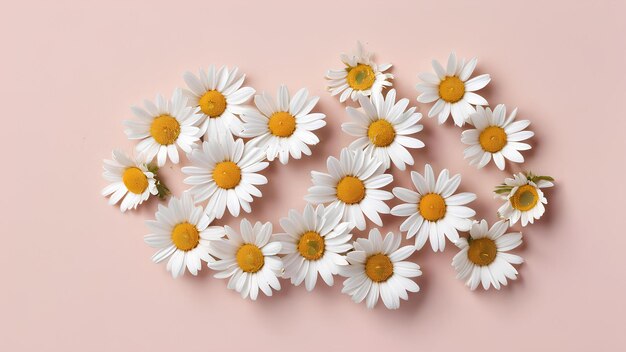 Photo a bouquet of daisies with the word on the top