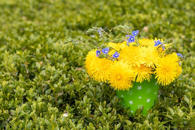 Bouquet of dandelions and blue flowers in a bucket