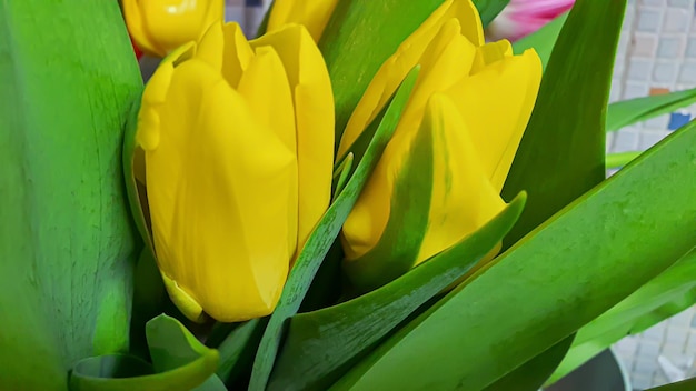 Bouquet of different flowers in a vase Mother's Day Women's Day Valentine's Day or Birthday