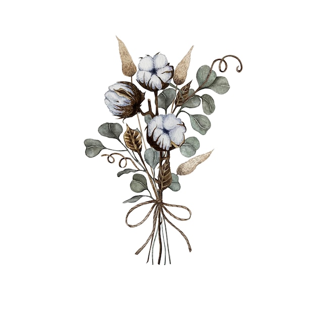 Bouquet of dried flowers eucalyptus branches cotton boxes lagurus dry leaves Watercolor illustration