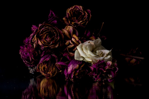 Bouquet of dried pink flowers with a fresh white