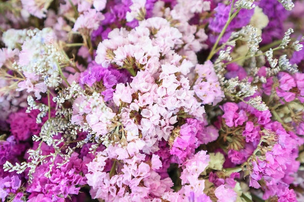 Bouquet of dry flower