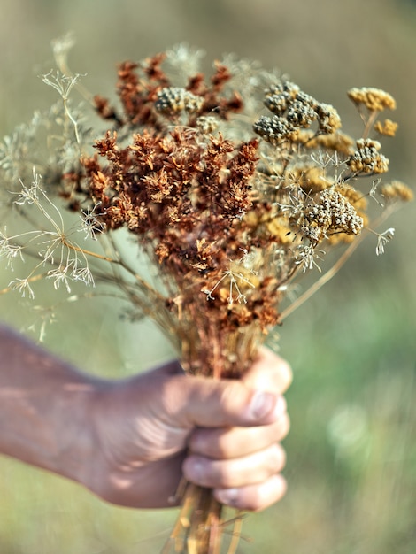 Bouquet of dry flowers in hand.