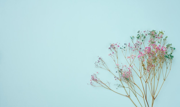 Bouquet of dry wildflowers on a blue background