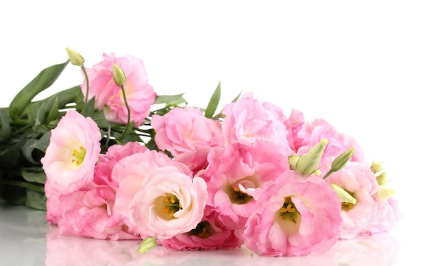 Bouquet of eustoma flowers isolated on white