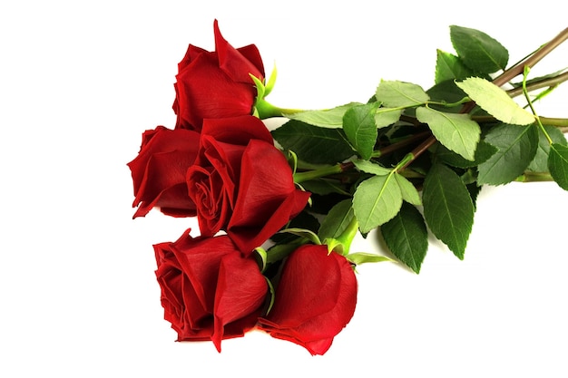 A bouquet of five red roses in close-up, isolated on a white background.