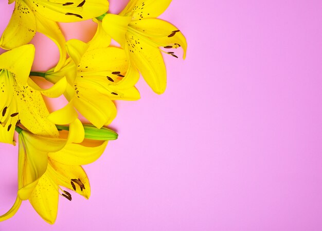 Bouquet of flowering yellow lilies 