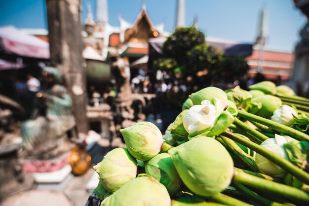 Bouquet of flowers in the background of Wat Phra Kaew temple Thailand