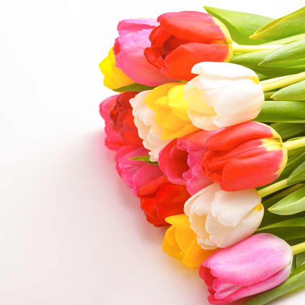 Bouquet of fresh, bright, multi-colored tulips, isolated.