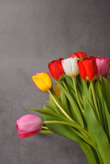 A bouquet of fresh, bright, multi-colored tulips