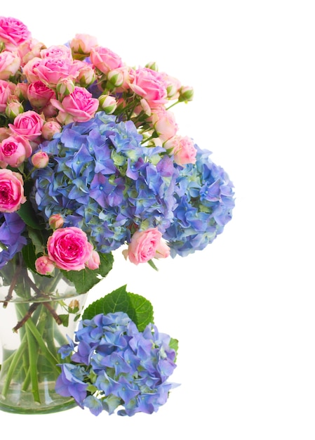 Bouquet  of fresh pink roses and blue hortenzia flowers close up  in glass vase isolated on white space