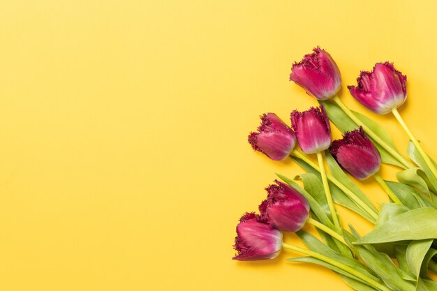 Bouquet of fresh tulips