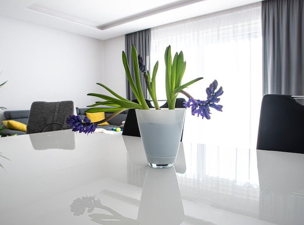 Bouquet of hyacinths on the table in the living room room decoration