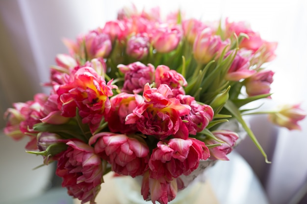 Bouquet of light pink tulips