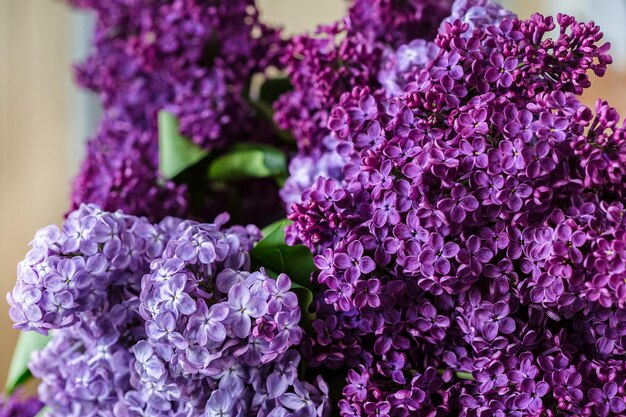 Photo a bouquet of lilac closeup