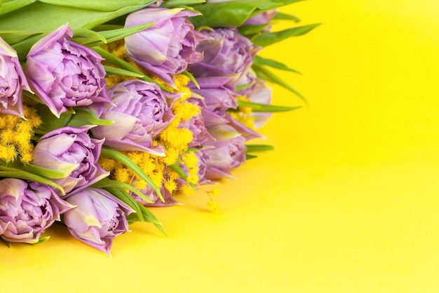 Bouquet of lilac Double Flag tulips and mimosas on yellow background, copy space, side view, closeup