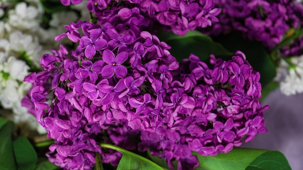 Bouquet of lilac macro shooting with a blurred background