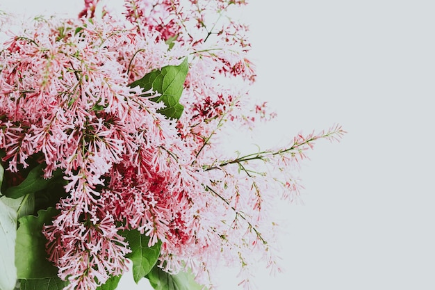 Bouquet of lilacs in a vase on white Spring time