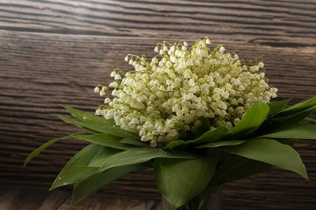 A Bouquet of lilies of the valley macro spring floral background selective focus place for text