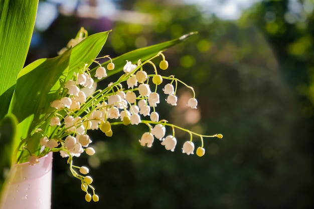 Bouquet of lilies of valley in vase on wooden table against background of green grass Lily of valley Bouquet of lily of valley flowers on sunny day on wooden table closeup with space for text