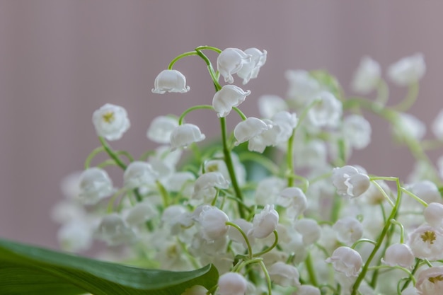 bouquet of lilies of the valley