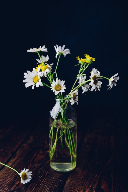 Bouquet of little chamomile flowers in bottle