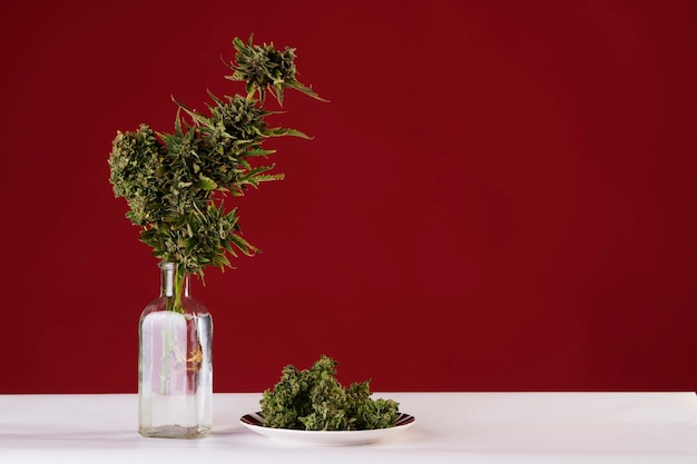 Bouquet of marijuana in pot vase with buds of weed on red background