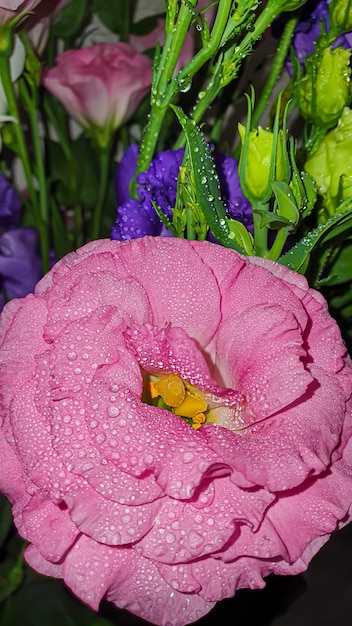 Bouquet of multicolored eustoma Pink and lilac with white flowers on a light background