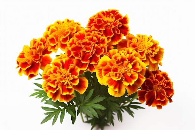 a bouquet of orange and yellow flowers on a white surface