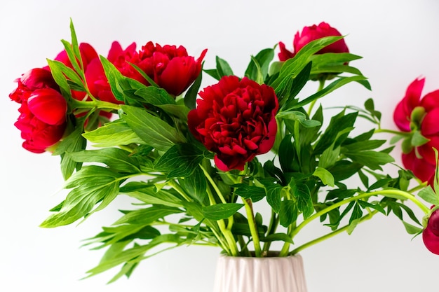 Bouquet of peonies on a white background Beautiful summer bouquet