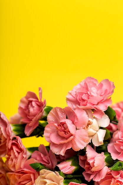 Bouquet of pink carnations flowers 