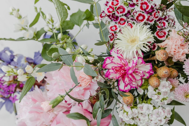 Bouquet of pink flowers on white background