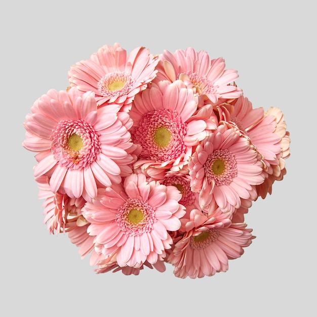 Photo bouquet of pink gerberas on a light gray background