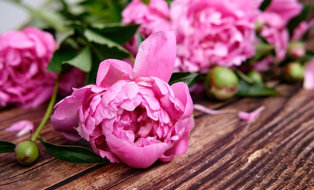 A bouquet of pink peonies In line on a dark wooden surface