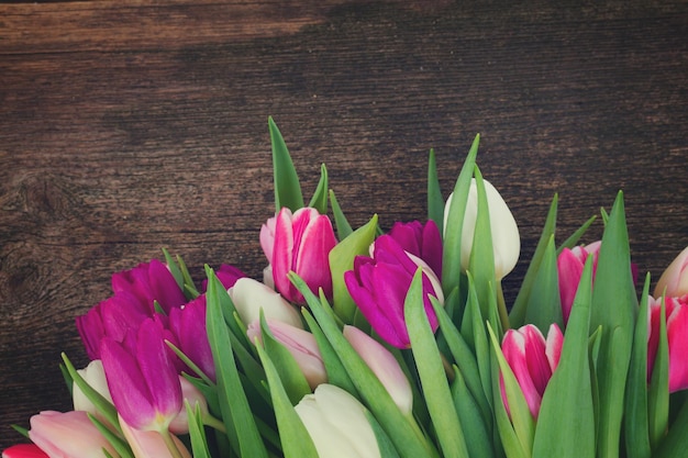 Bouquet of pink purple and white tulips