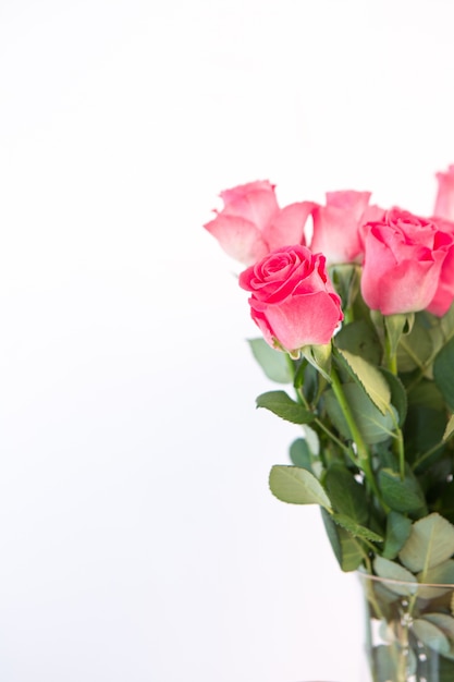 Bouquet of pink roses in vase