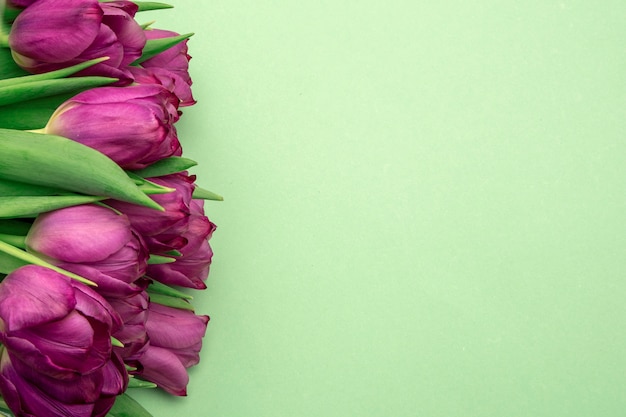 Bouquet of pink tulips/ Easter day background. Bouquet of tulips on a green background, web banner