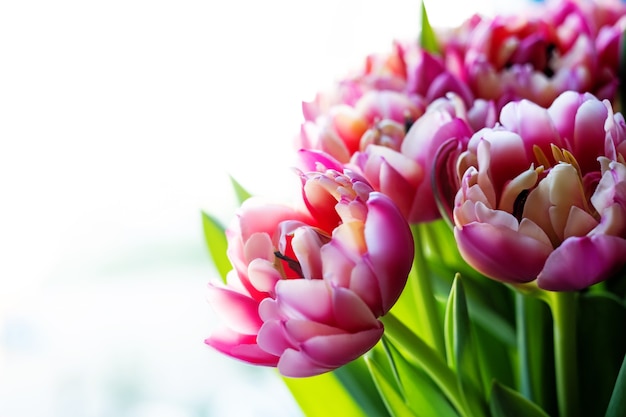 Bouquet of pink tulips. Mothers day, Valentines Day, Birthday celebration concept. Greeting card. Copy space for text, top view