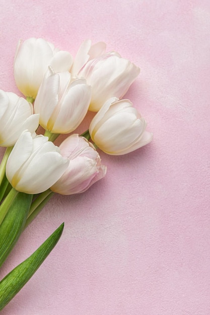 Bouquet of pink tulips on pink background