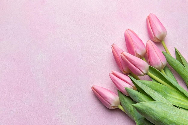 Bouquet of pink tulips on pink background