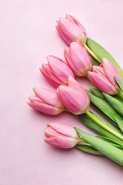 Bouquet of pink tulips on pink background