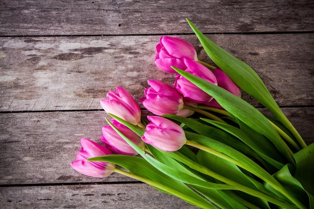 Bouquet of pink tulips on a rustic wooden background