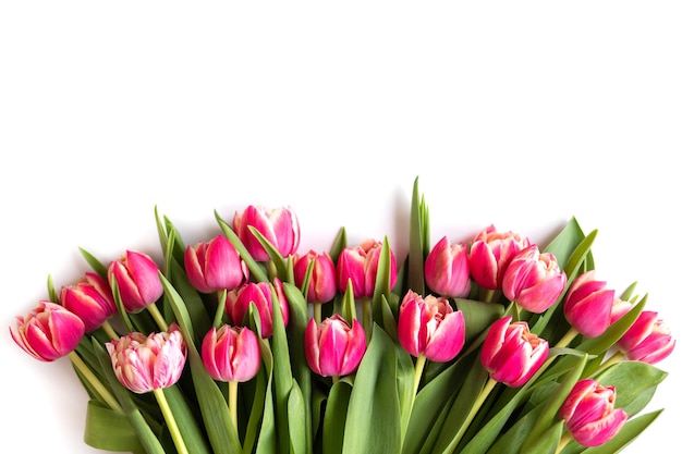 Bouquet of pink tulips on white backgroundconcept Greeting card Copy space place for text top view