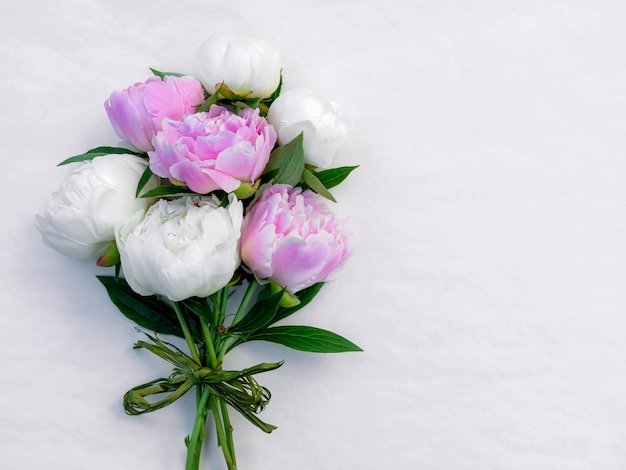 Bouquet of pink and white peonies close-up with copy space for design.